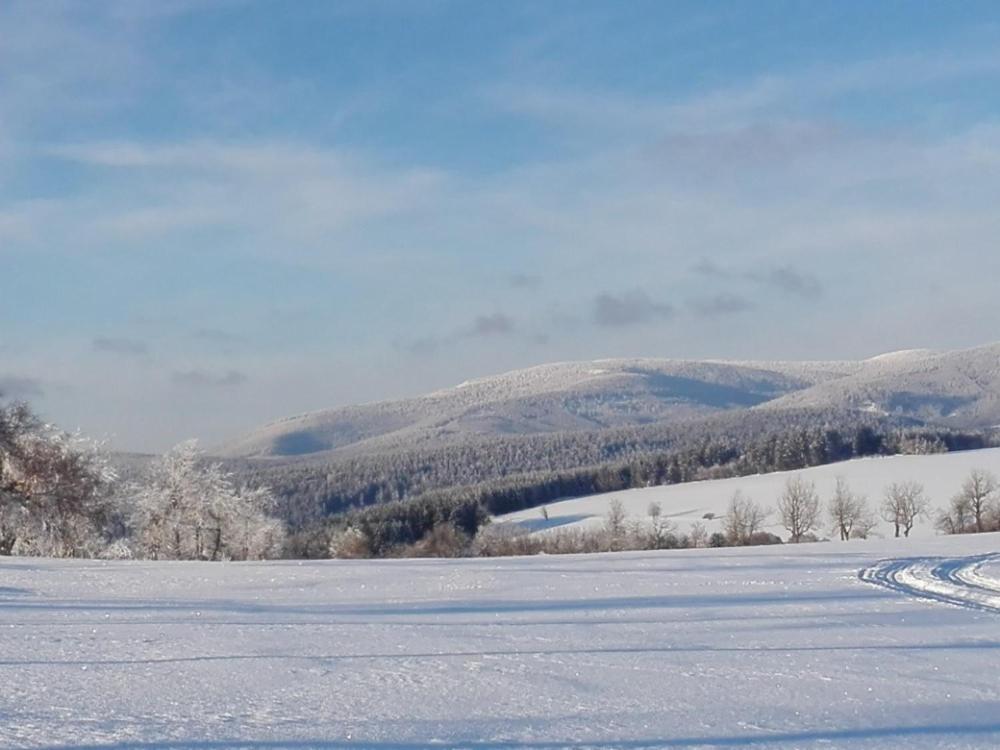 Rodinny Apartman 3+1 Horni Mesto Exteriér fotografie
